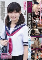 (I Only) Serious Baby-faced Student Council President Haruka 18-year-old Meat Jar-Yuu Kitayama