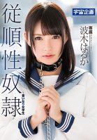 Submissive Sex Slave And Obedient College Girl Haruka Namiki-Haruka Hakii,Haruka Ichinose