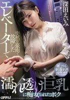 [Uncensored Mosaic Removal] The Elevator Broke Down Due To A Sudden Rainstorm, And Now I Was Being Fucked By A Slut With Big Tits Transparently Beckoning Me Through Her Dripping Wet Shirt Amy Fukada-Eimi Fukada